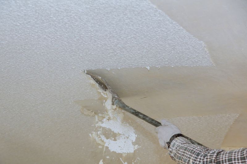 Popcorn Ceiling Repair detail